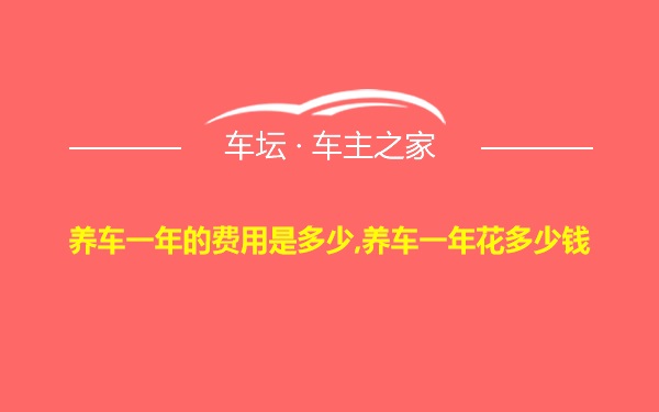 养车一年的费用是多少,养车一年花多少钱