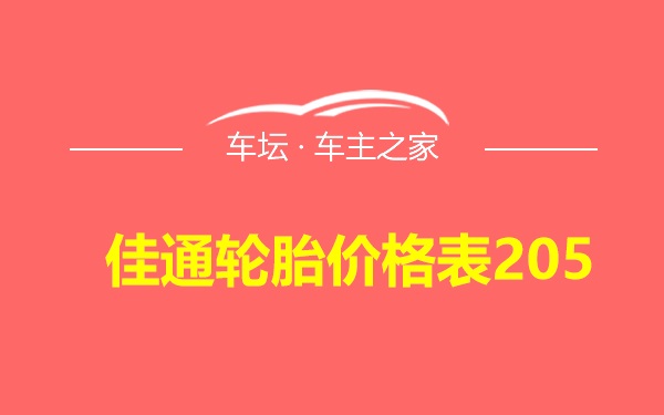 佳通轮胎价格表205