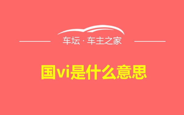 国vi是什么意思