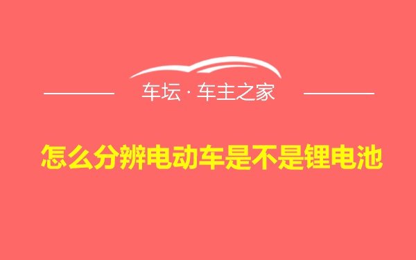 怎么分辨电动车是不是锂电池