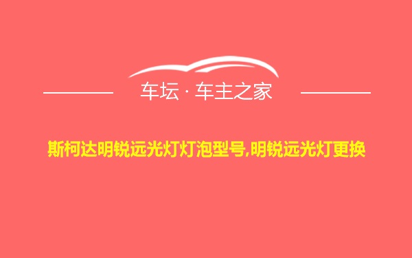 斯柯达明锐远光灯灯泡型号,明锐远光灯更换