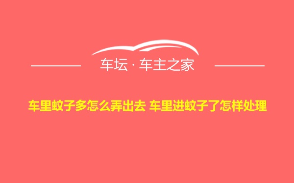 车里蚊子多怎么弄出去 车里进蚊子了怎样处理