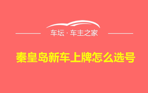 秦皇岛新车上牌怎么选号