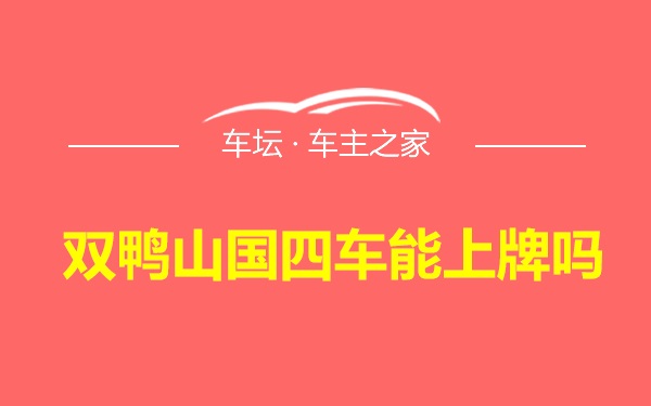 双鸭山国四车能上牌吗