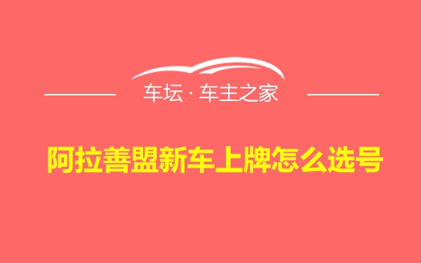 阿拉善盟新车上牌怎么选号