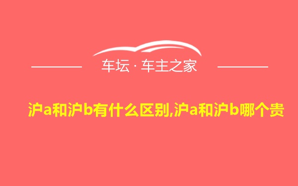 沪a和沪b有什么区别,沪a和沪b哪个贵