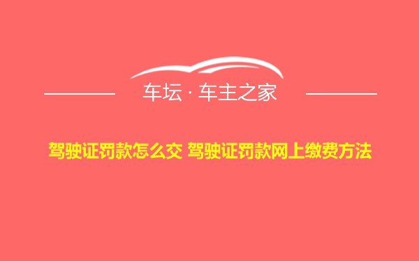 驾驶证罚款怎么交 驾驶证罚款网上缴费方法