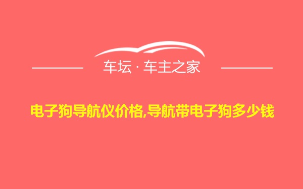 电子狗导航仪价格,导航带电子狗多少钱