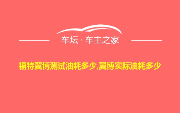 福特翼博测试油耗多少,翼博实际油耗多少