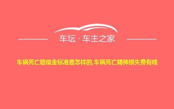 车祸死亡赔偿金标准是怎样的,车祸死亡精神损失费有啥