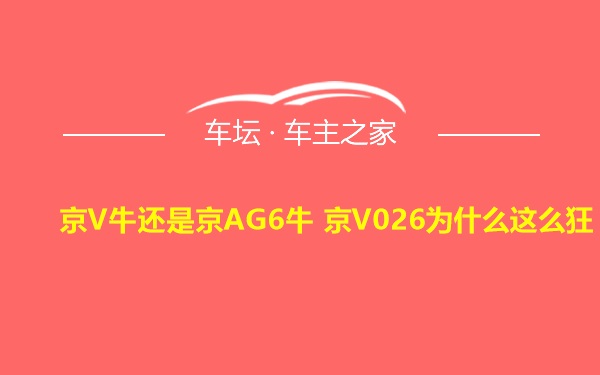 京V牛还是京AG6牛 京V026为什么这么狂