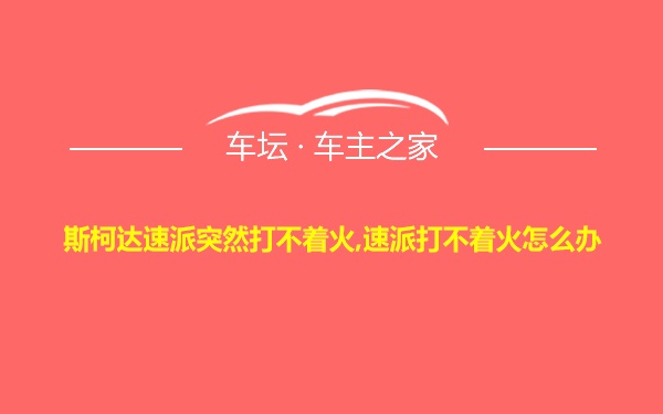 斯柯达速派突然打不着火,速派打不着火怎么办