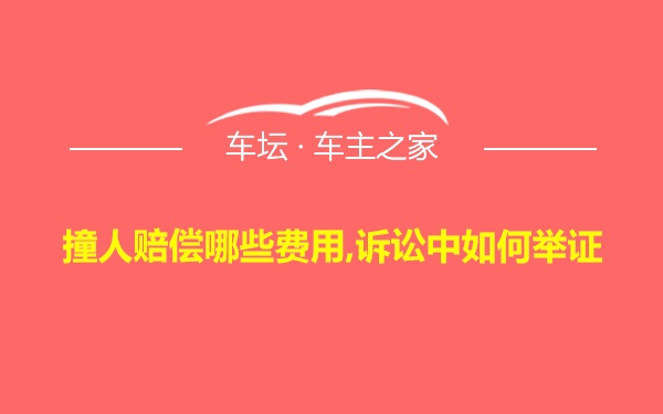 撞人赔偿哪些费用,诉讼中如何举证