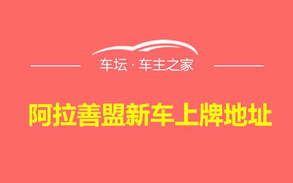 阿拉善盟新车上牌地址