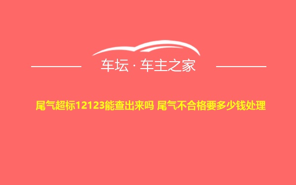 尾气超标12123能查出来吗 尾气不合格要多少钱处理