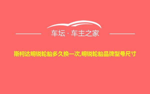 斯柯达明锐轮胎多久换一次,明锐轮胎品牌型号尺寸