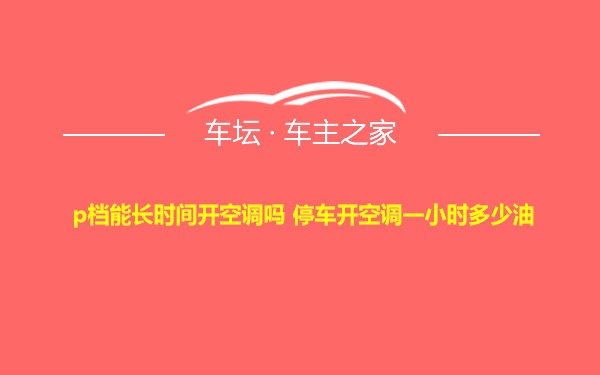 p档能长时间开空调吗 停车开空调一小时多少油