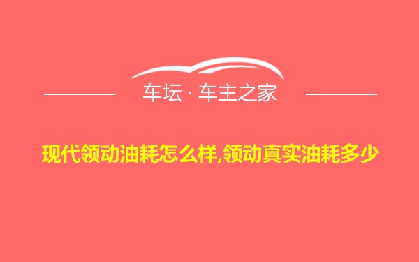 现代领动油耗怎么样,领动真实油耗多少