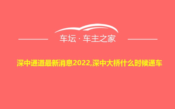 深中通道最新消息2022,深中大桥什么时候通车