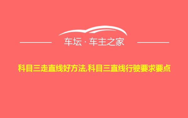 科目三走直线好方法,科目三直线行驶要求要点