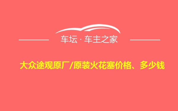 大众途观原厂/原装火花塞价格、多少钱