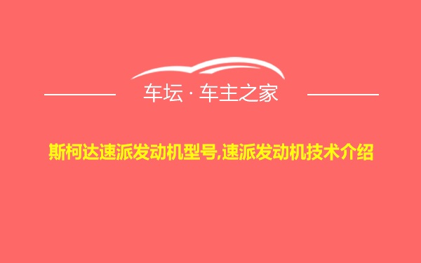 斯柯达速派发动机型号,速派发动机技术介绍