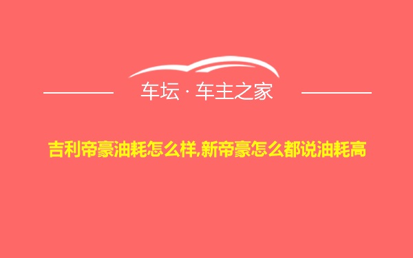 吉利帝豪油耗怎么样,新帝豪怎么都说油耗高