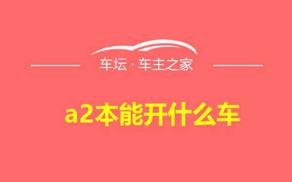 a2本能开什么车