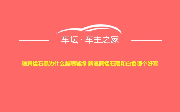 速腾锰石黑为什么越晒越绿 新速腾锰石黑和白色哪个好看