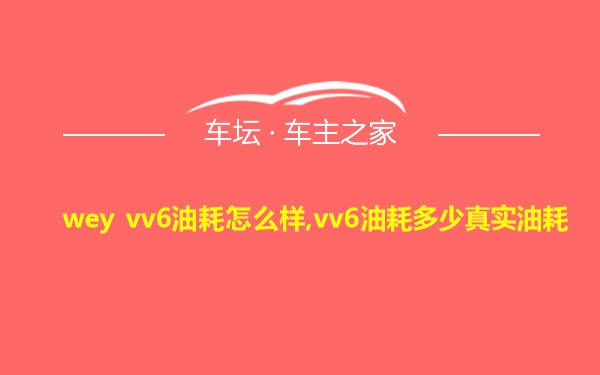 wey vv6油耗怎么样,vv6油耗多少真实油耗