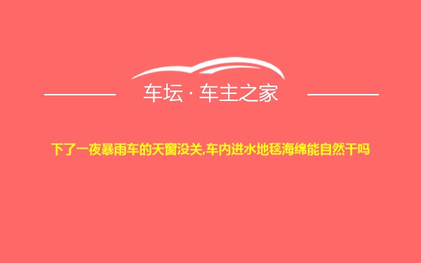 下了一夜暴雨车的天窗没关,车内进水地毯海绵能自然干吗