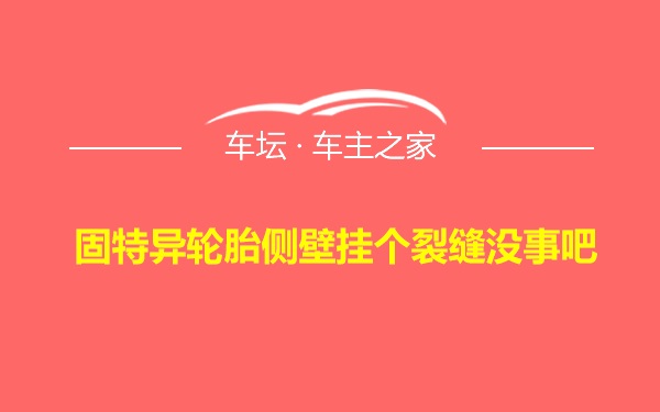 固特异轮胎侧壁挂个裂缝没事吧