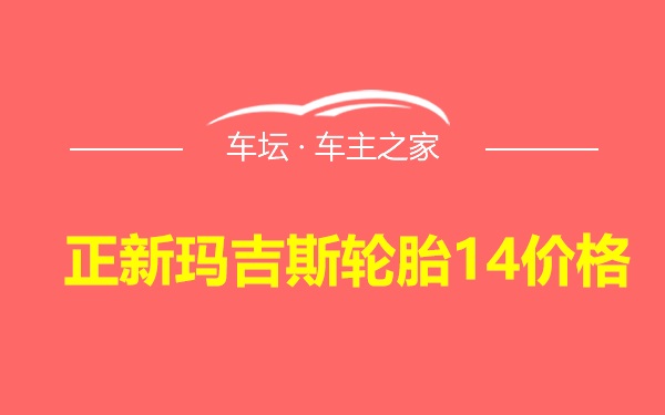 正新玛吉斯轮胎14价格