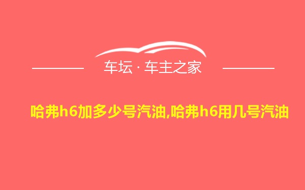 哈弗h6加多少号汽油,哈弗h6用几号汽油