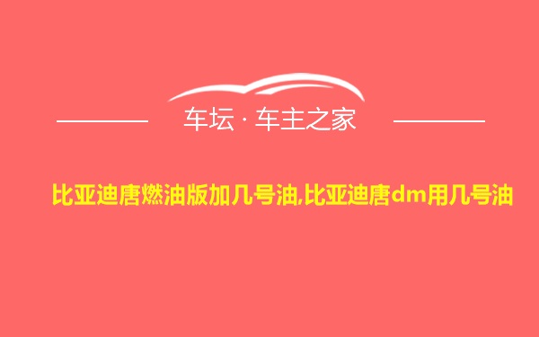 比亚迪唐燃油版加几号油,比亚迪唐dm用几号油