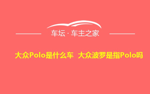 大众Polo是什么车 大众波罗是指Polo吗