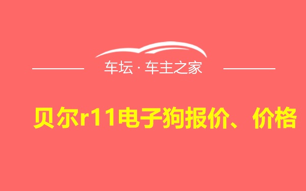 贝尔r11电子狗报价、价格