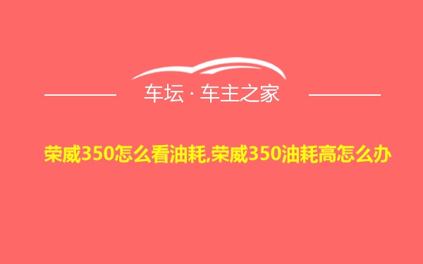 荣威350怎么看油耗,荣威350油耗高怎么办