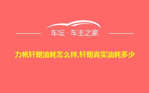 力帆轩朗油耗怎么样,轩朗真实油耗多少