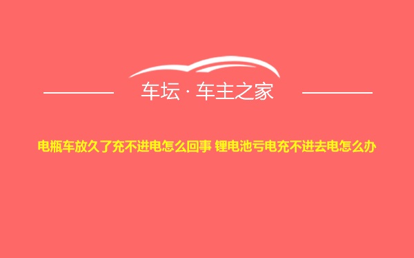 电瓶车放久了充不进电怎么回事 锂电池亏电充不进去电怎么办