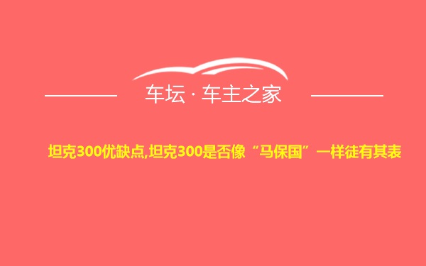 坦克300优缺点,坦克300是否像“马保国”一样徒有其表