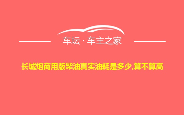 长城炮商用版柴油真实油耗是多少,算不算高