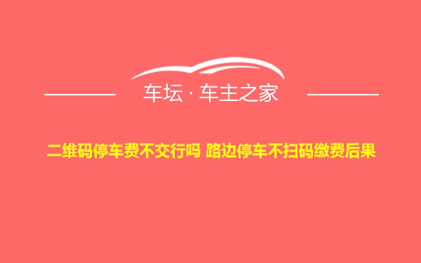 二维码停车费不交行吗 路边停车不扫码缴费后果