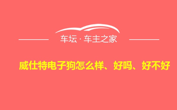 威仕特电子狗怎么样、好吗、好不好