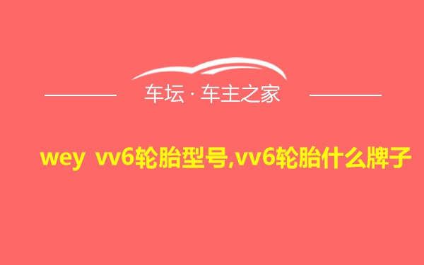 wey vv6轮胎型号,vv6轮胎什么牌子