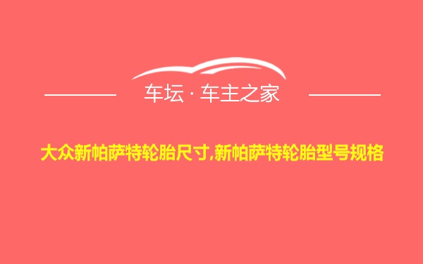 大众新帕萨特轮胎尺寸,新帕萨特轮胎型号规格