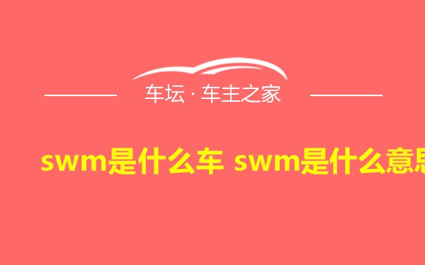 swm是什么车 swm是什么意思