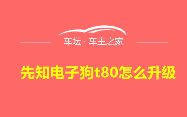 先知电子狗t80怎么升级