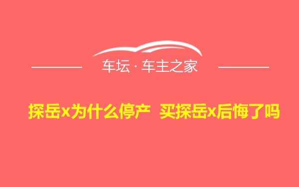 探岳x为什么停产 买探岳x后悔了吗