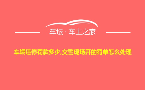 车辆违停罚款多少,交警现场开的罚单怎么处理